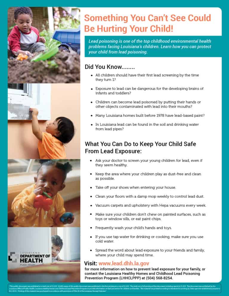 Lead Poisoning Prevention Program MEE PRODUCTIONS